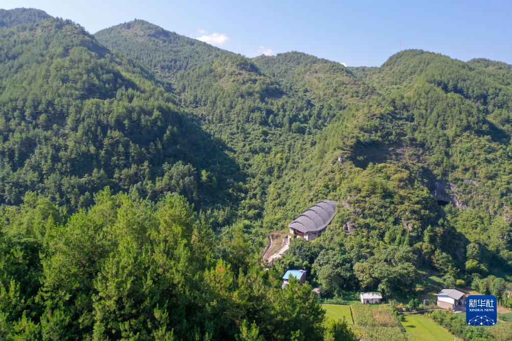 ag资源集团